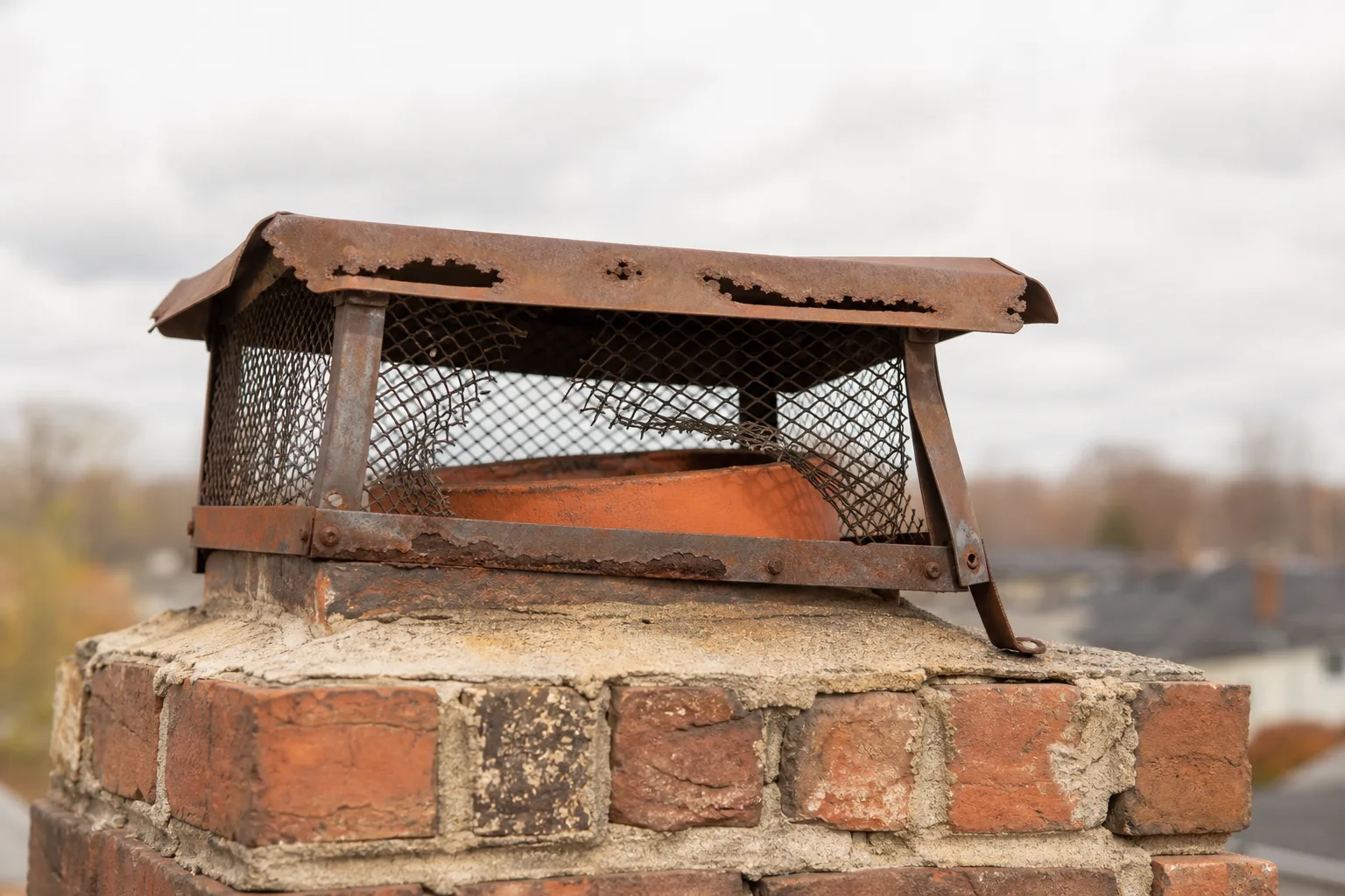 Chimney cap failure shows rusted screening and broken fasteners above a clay flue