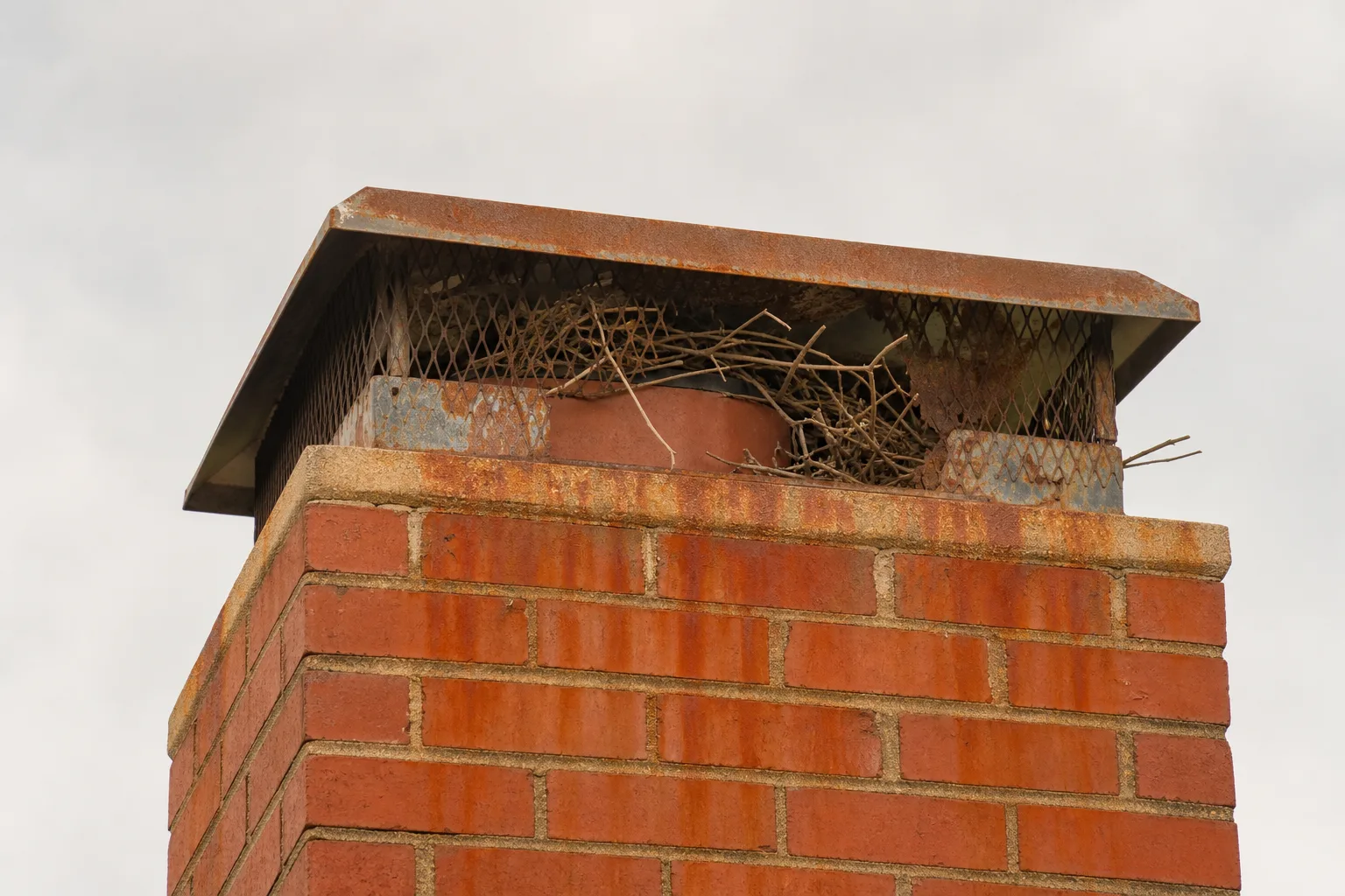 what is a chimney cap failure: a rusted cap with torn screen streaking rust down the brick below