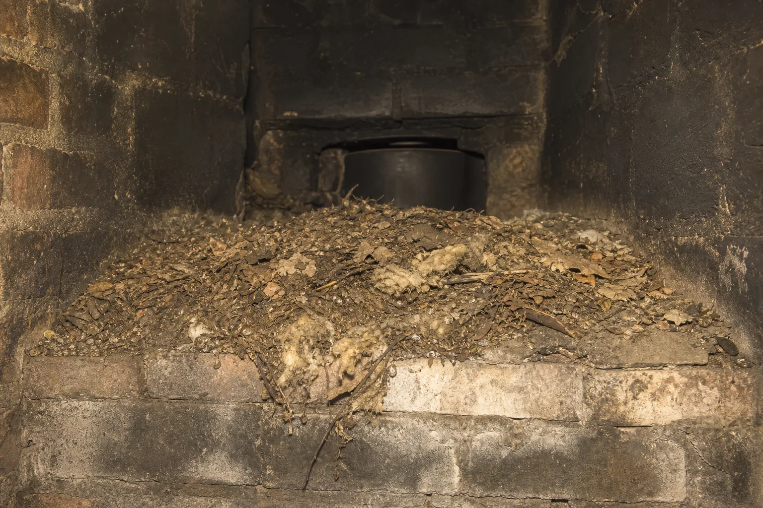 raccoon in chimney nesting debris packed onto the smoke shelf above the damper, typical condition before cleaning