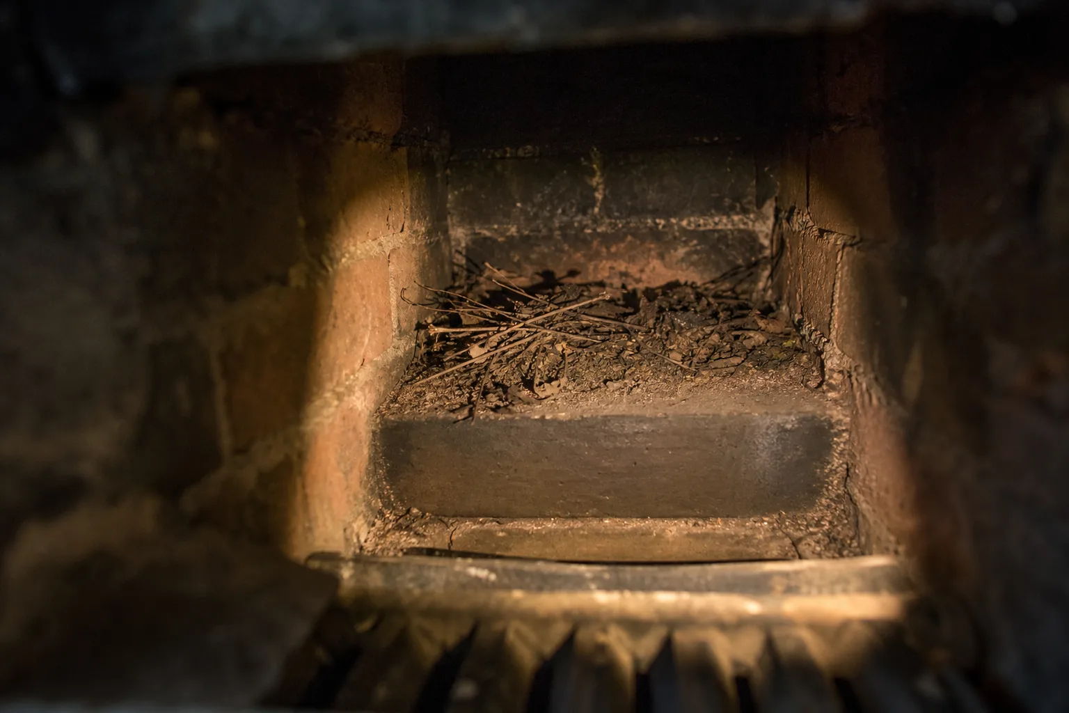 Twigs and nesting material piled on a chimney smoke shelf under torchlight Twigs and nesting material piled on a chimney smoke shelf under torchlight